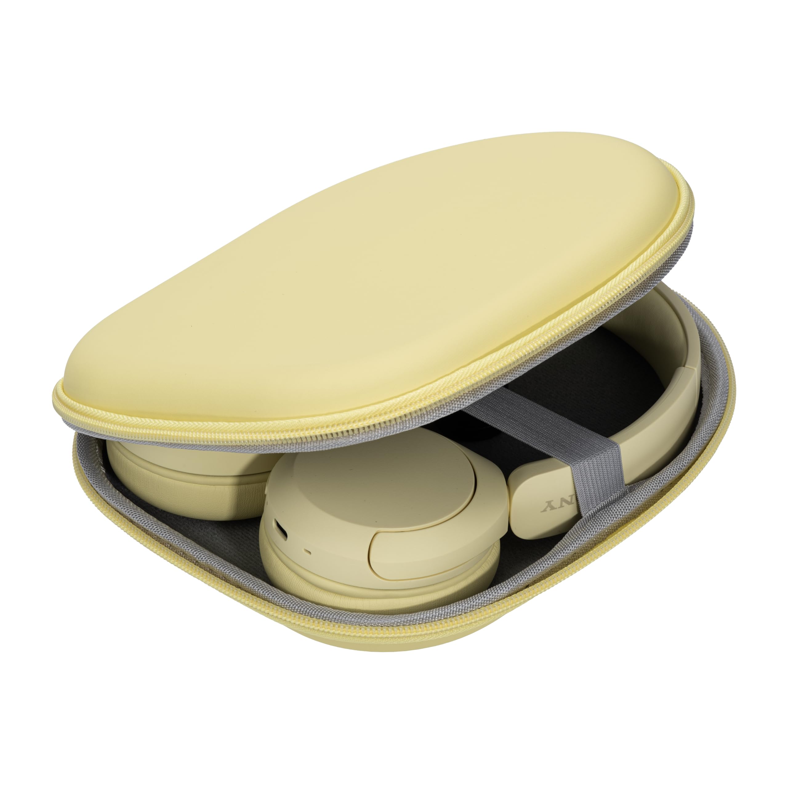 Ginsco Case